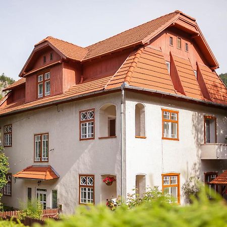 Pensiunea Ritz ไบเลตุชนาด ภายนอก รูปภาพ